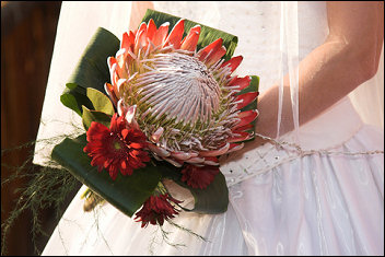 Afrikaans Wedding